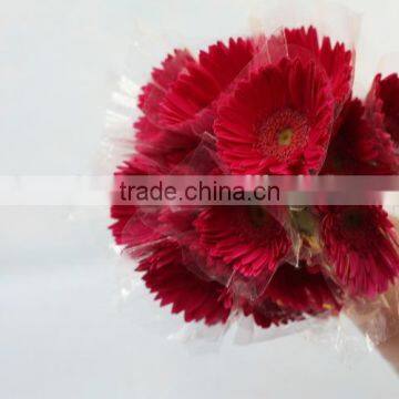 Most popular hotsell flower arrangements gerbera