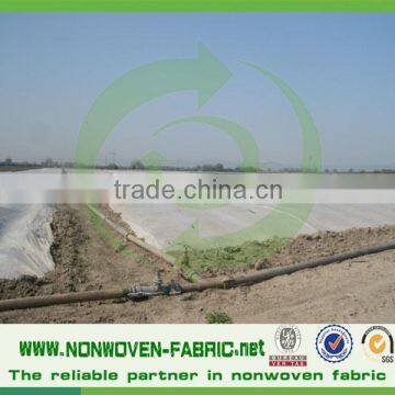 Sunshine Waterproof Windproof Breathable 100% Polypropylene Nowoven Fabric For Agricultural/Agriculture Nonwoven Fabric