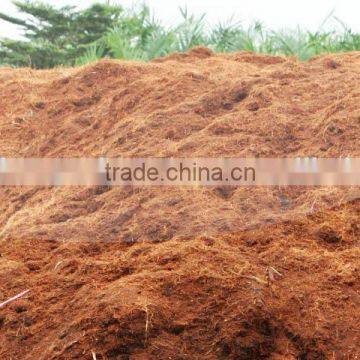 Loose Cocopeat (Qiu Qiu : 2598494113)