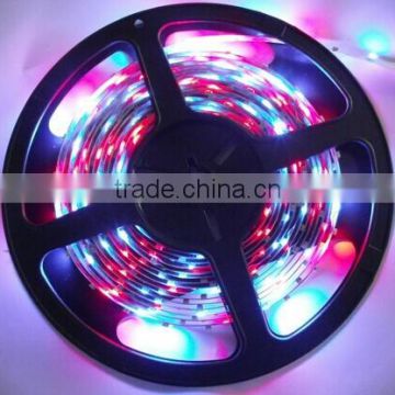 shenzhen manufactuer wholesale DC12v/24v 3528 flexible cheap led strip light for diwali light