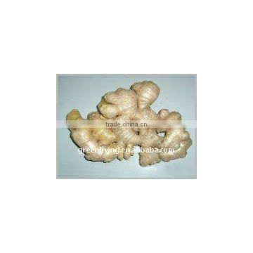 Air dried ginger in china for sell