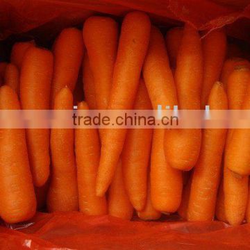 chinese fresh preserved carrot