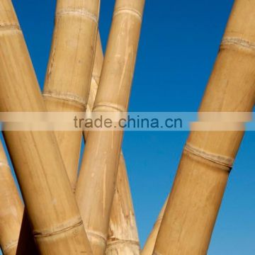 Natural Football Field Fence 3.5' 12-14mm bamboo cane for several sizes