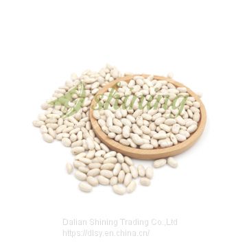 Spanish white kidney beans