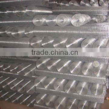 China hebei stainless steel welded netting factory(ISO9000certificate)