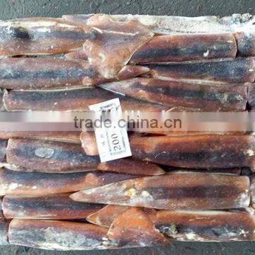 frozen fresh whole round argentina illex squid sale