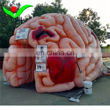 Giant inflatable artificial body heart organ for medical science