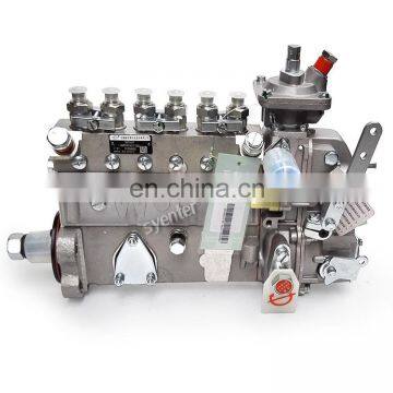 China Jiangsu Wuxi Weifu Fuel Injection Pump 375-1250 6AW161 3971477 for 6BT