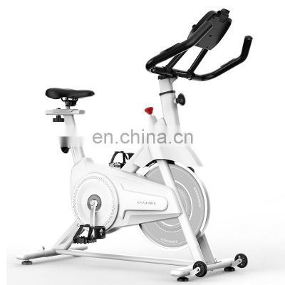 SD-S501 Free shipping home gym magnetic spinning bike with 13kg flywheel