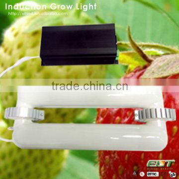2014 newest design induction plant lamps and led grow light 600w