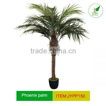 Artifiicial Phoenix palm tree