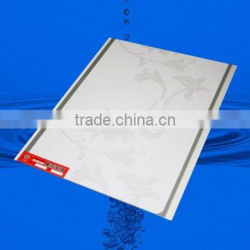 fireproof plastic ceiling panel (006)