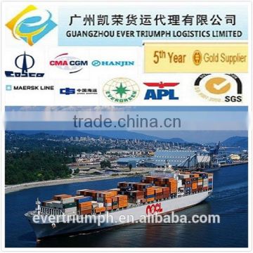 Shipping company from Guangzhou/Shenzhen/Shanghai to Zeebrugge Belgium