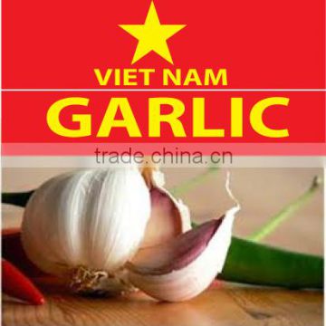 Fresh Garlic natural