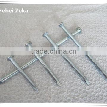 high quality galvanized common nails factory price nails