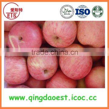 china delicious fruit top red apple