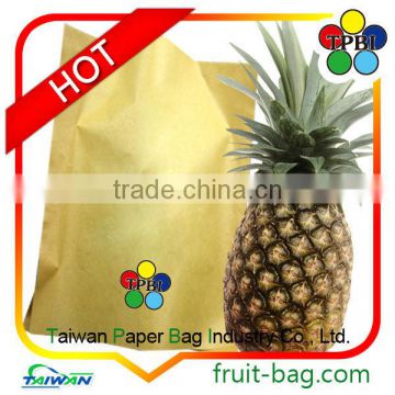 Taiwan factory fruit growing protection bag pineapple bag