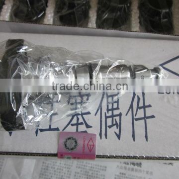 Pump Plunger 6216018080145 P597,hot selling plunger,made in China