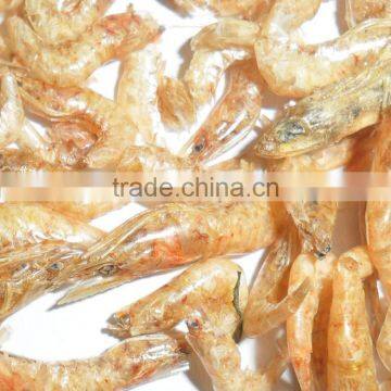 Tturtle food dried shrimp, shrimp wholesale