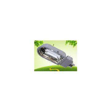 Electromagnetic Induction Street Lighting 75 - 85lm / W 120V For Park