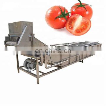 Industrial Air Bubble Vegetable Washing Machine for Big Capacity Best Sale Stainless Steel Roller Bubble Cleaning Machine