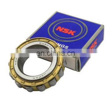 Hot sale NTN NSK RN219 M eccentric bearing RN219M cylindrical roller bearing