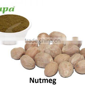 Indonesian Dried Whole Nutmegs