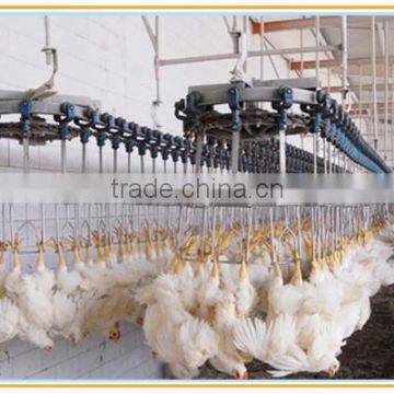 Zhengzhou Thrive chicken slaughter line for process chicken