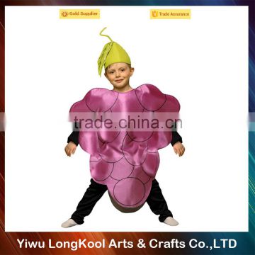 Hot sale free shipping carnival children raisin fruit costume