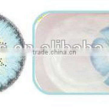 EOS korea contact lens