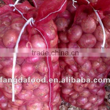 lower price Fresh red onion