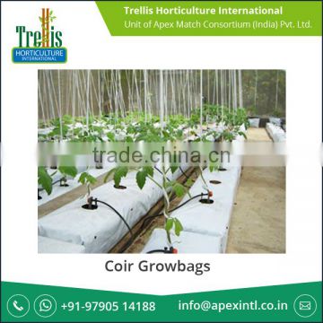 Reliable Nature Low Price Coir Growbags for Bulk Buyers
