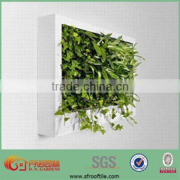 wall garden substrate granular volcanic soil