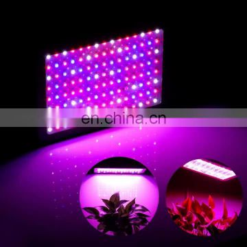 Double Switch Bloom VEG led grow light hydroponique 600w for indoor plants led