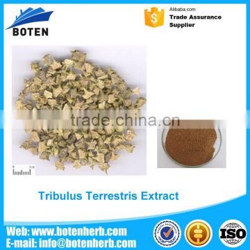 Best price of KOSHER Certificated Tribulus Terrestris P.E. 40% made in China