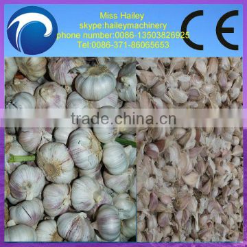 hot sale high efficiency garlic separator 0086-13503826925