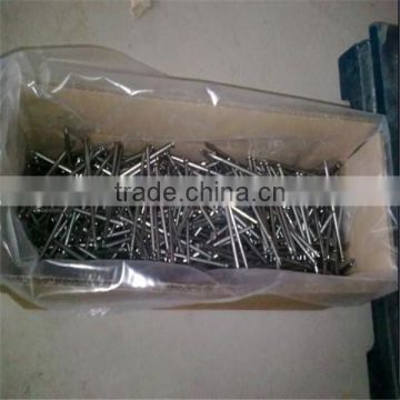 polished & galvanized common nail / wire nails / steel nails