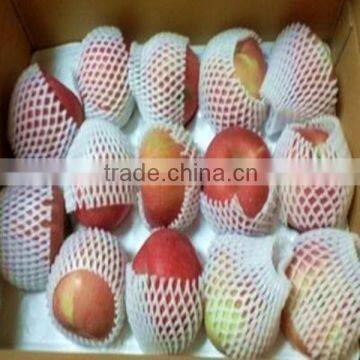 Laizhou Zhentao/Apple Insert Plastic Tray Fruit Tray