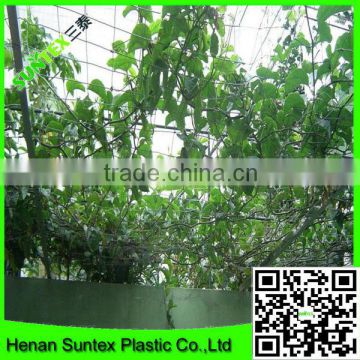 new hdpe material support plants netting extrude wire mesh from alibaba