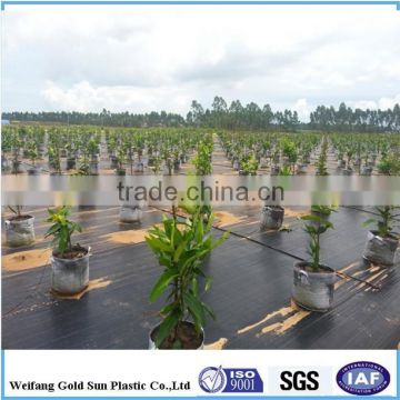 PP woven weed mat /plastic ground cover/ black plastic mulch