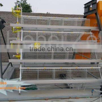 Hot sale cages for domestic animal , chicken cages