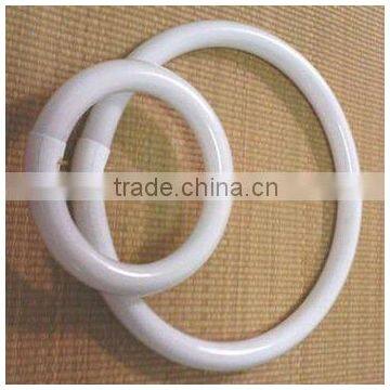 T9 Circular Fluorescent Lamp with Ballast