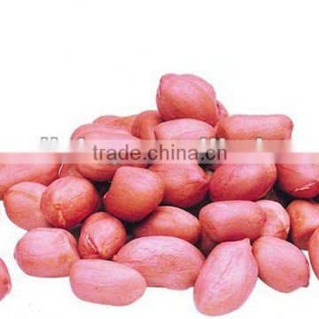 Peanut On Sale from China