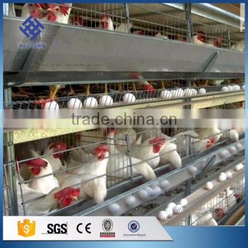 30 Years' factory supply automatic chicken cages layers drawings