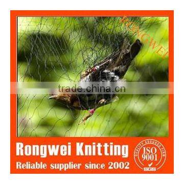 Factory direct HDPE anti-bird net for agriculture and horticulture