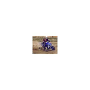 Sport Style 250cc Utility ATV Air Cooled , Automatic With Reverse