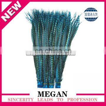 High Quality for Showgirl Carnival Costume ringneck pheasant feathers
