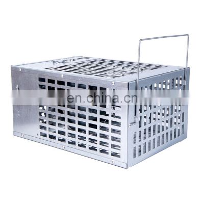 Galvanized Iron Wire Double Door Mouse Trap Rat Mouse Cage Mice Trap Humane Live Catching Rat Trap Cage