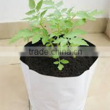 UV treated plastic plant pot for nursery use