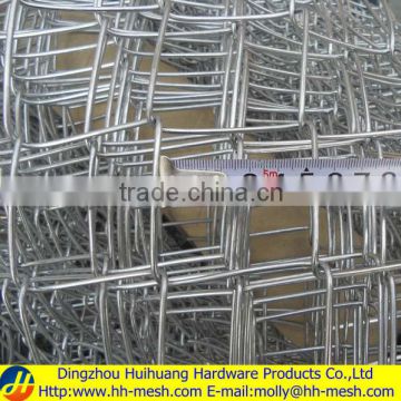 Fine mesh chain link fence (Manufactuerer&exporter)50*50/60*60/75*75/100*100